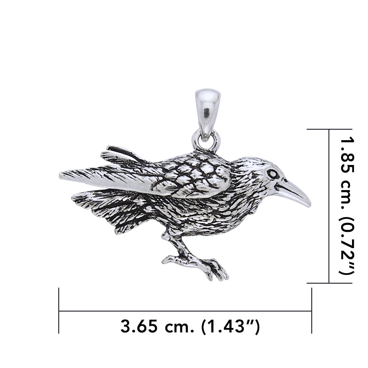 Haunted by the Mythical Raven Sterling Silver Pendant TP1439
