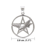 Flying Owl with Pendant Silver Pendant TPD4334