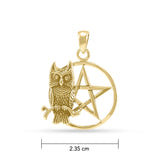 Sitting Owl with  Pentacle Gold Pendant GTP3320