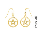 Silver with Gold Plate Pentagram Pentacle Earrings VTE293