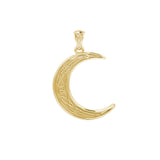 Celtic Crescent Moon 14K Yellow Gold Pendant GPD4201