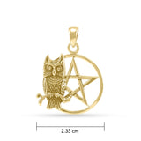 Sitting Owl with  Pentacle Pendant GTP3320