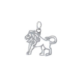 Leo Zodiac Silver Charm by Amy Zerner TCM501 - Jewelry