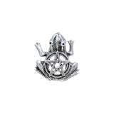 Frog Pentagram Silver Pendant TP3293