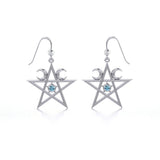 Silver The Star Earrings TE2875 - Jewelry