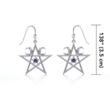 Silver The Star Earrings TE2875 - Jewelry